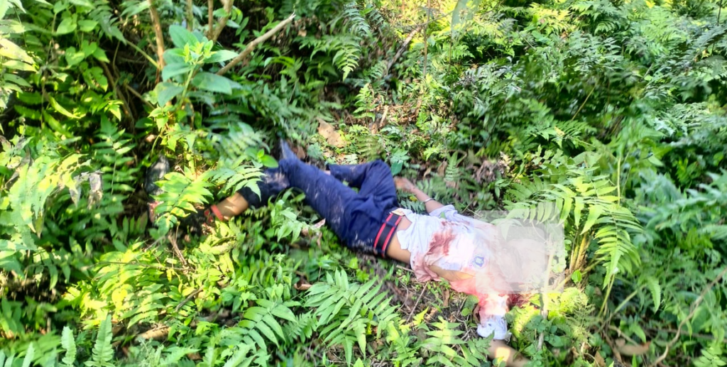 li-1024x517 টংলাৰ ২ কিশোৰৰ হত্যাৰ ৰহস্য: সতীয়া ভাতৃয়ে হত্যা কৰিছিল"