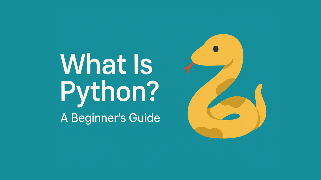 Want to Learn Python? Here’s Why You Should Start Today.